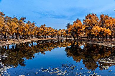 《奥日：合集》10月登陆NS平台 一次玩到两款游戏